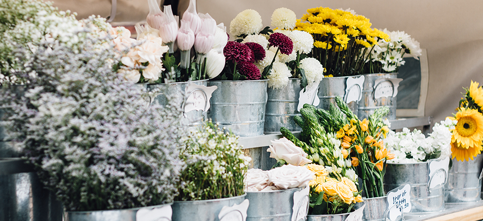 flowers in pots