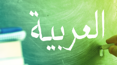Why Arab is not a culture