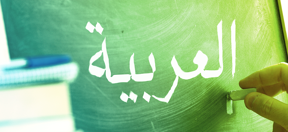Why Arab is not a culture