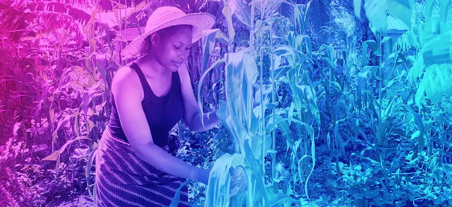 woman farming