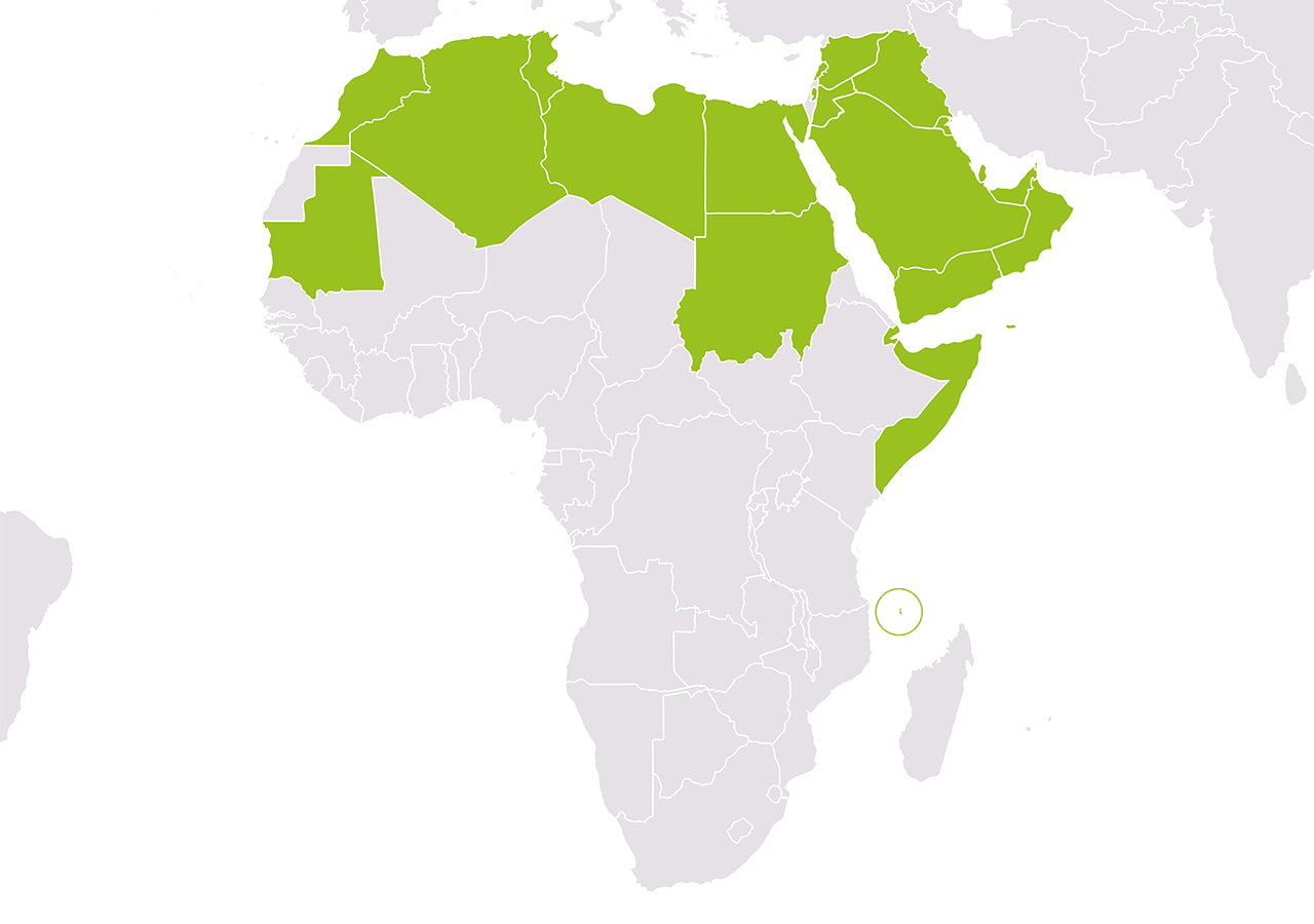 The Arab League