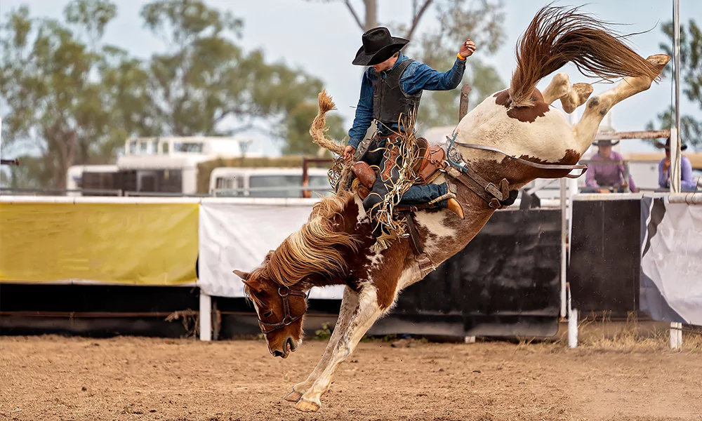 man riding a horse